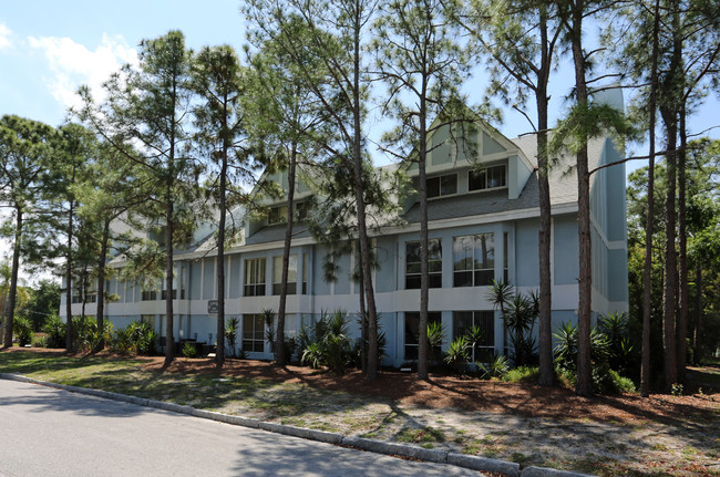 West Haven Urban Residences in Tampa, FL - Building Photo - Building Photo