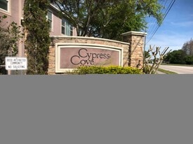 10035 Tranquility Way in Tampa, FL - Building Photo