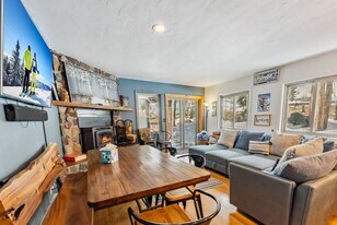 876 Broken Lance Dr in Breckenridge, CO - Building Photo