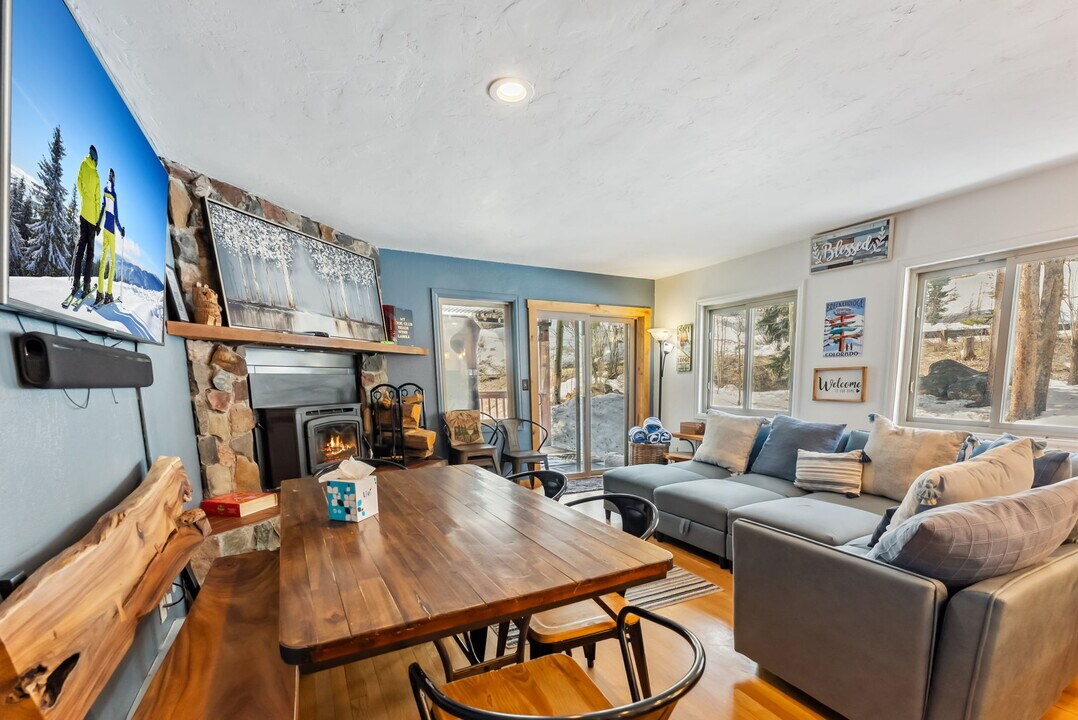 876 Broken Lance Dr in Breckenridge, CO - Building Photo