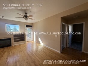 555 Cougar Bluff Point in Colorado Springs, CO - Building Photo - Building Photo