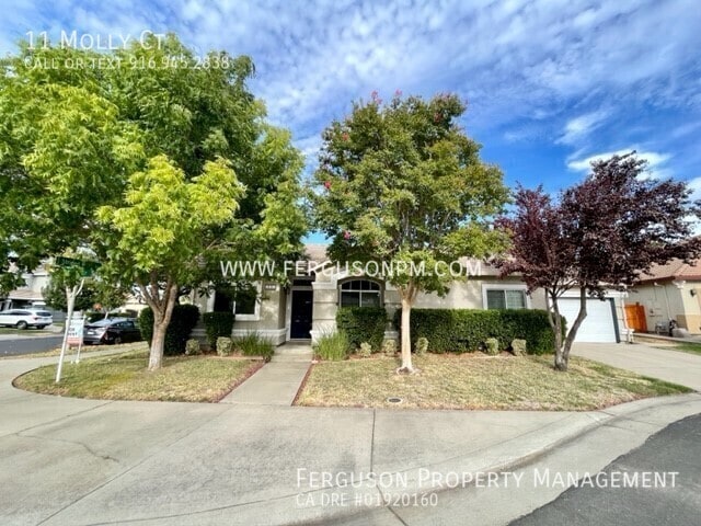 property at 11 Molly Ct