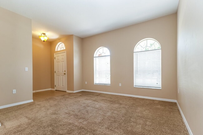 8101 Pea Tree Ct in Trinity, FL - Foto de edificio - Building Photo