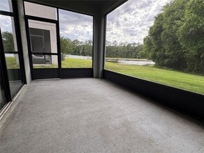 20044 Date Palm Way in Tampa, FL - Building Photo - Building Photo