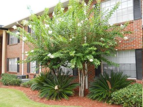 Vieux Carre Apartments in Panama City, FL - Building Photo - Building Photo