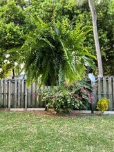7701 SW 88th St in Miami, FL - Building Photo - Building Photo