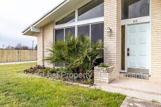 319 Gaiety Ln in San Antonio, TX - Building Photo - Building Photo
