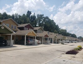 12356 Village Maison Dr in Walker, LA - Building Photo