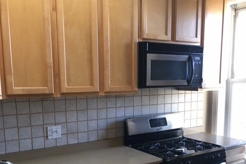 1703 W Nelson St, Unit 1 in Chicago, IL - Building Photo - Building Photo
