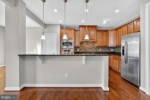21285 Park Grove Terrace in Ashburn, VA - Building Photo