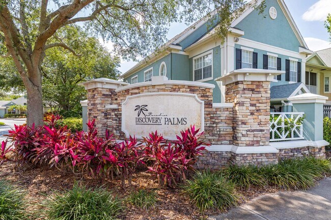 Discovery Palms
