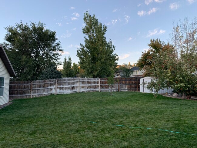3446 Connard Ave in Pocatello, ID - Building Photo - Building Photo