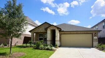 24323 Wild Bramble Ln in Katy, TX - Building Photo