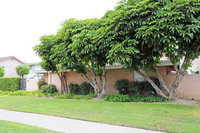 4061 Green Ave in Los Alamitos, CA - Building Photo - Building Photo