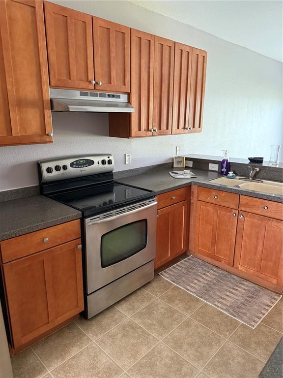 16344 Swan View Cir in Odessa, FL - Building Photo - Building Photo