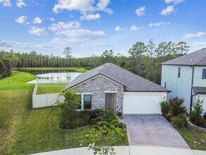 9571 Little Bluestem Dr in Land O Lakes, FL - Building Photo - Building Photo