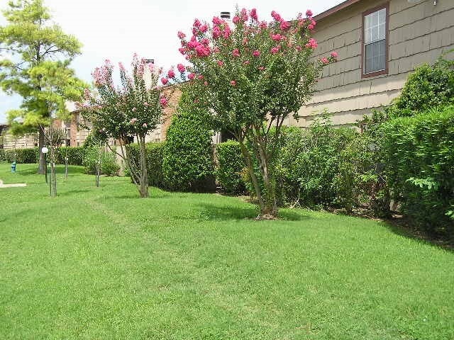 property at 9101 Country Creek St