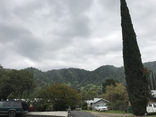 Sequoia Bungalows in Springville, CA - Building Photo - Building Photo