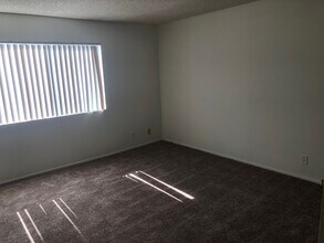 4392 Green Ave in Los Alamitos, CA - Building Photo - Building Photo