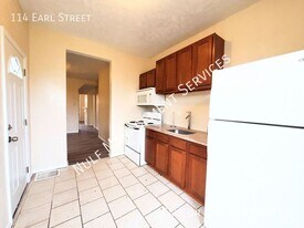 114 Earl St in Pittsburgh, PA - Building Photo
