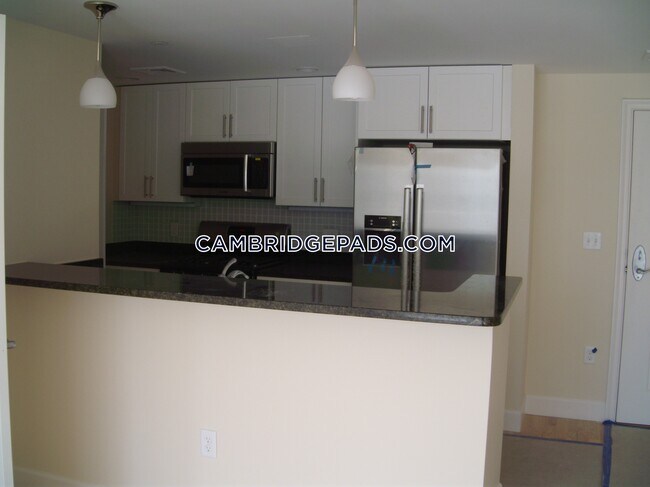 7 Cameron Ave in Cambridge, MA - Building Photo - Building Photo