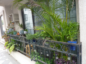 3648 Motor Ave in Los Angeles, CA - Foto de edificio - Building Photo