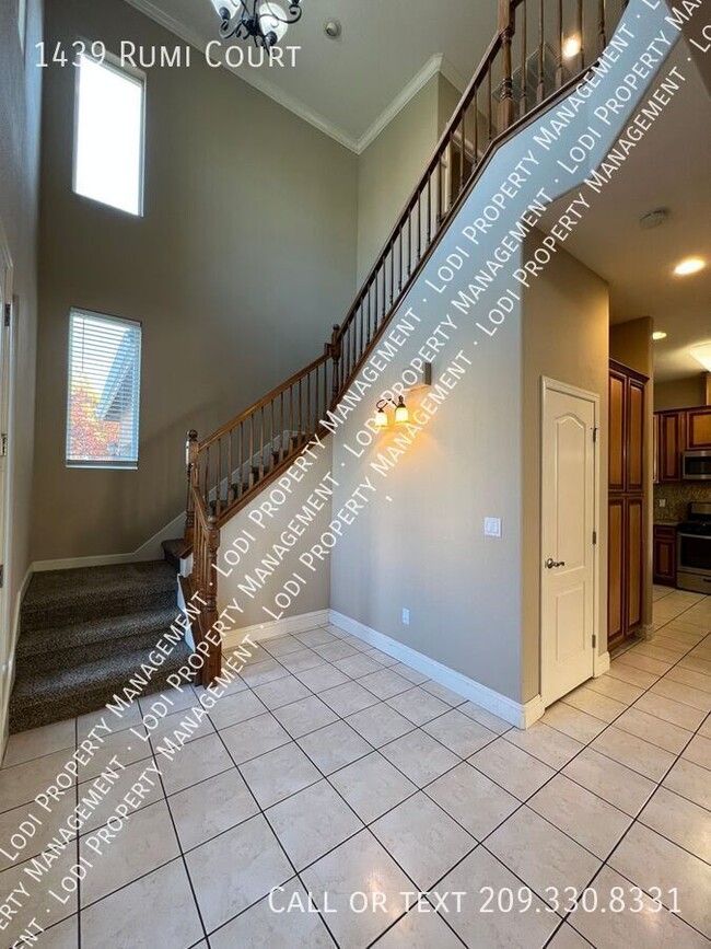 1439 Rumi Ct in Lodi, CA - Building Photo - Building Photo