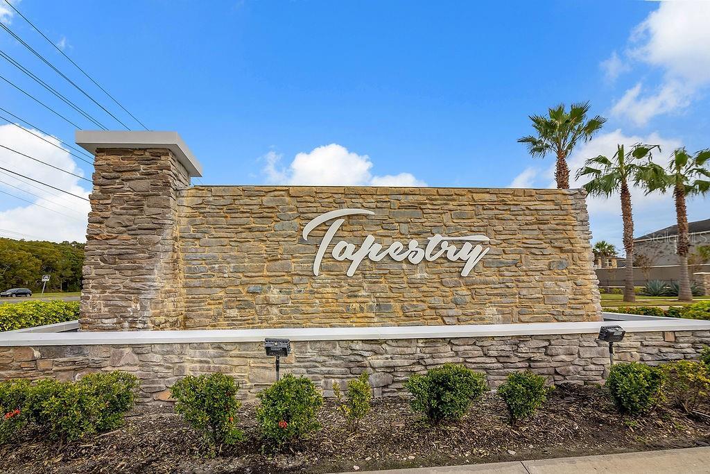 2450 Chateau Lp in Kissimmee, FL - Building Photo