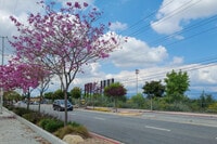 Apartments in La Puente, CA