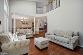 20254 Ordinary Pl in Ashburn, VA - Building Photo - Building Photo