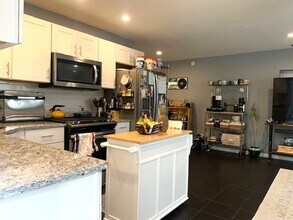 1327 W Walton St in Chicago, IL - Building Photo - Building Photo