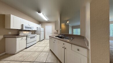 9301 Crescent Loop Cir in Tampa, FL - Building Photo - Building Photo