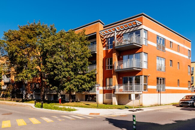 Les Cours Harvard & Oxford in Montréal, QC - Building Photo - Building Photo
