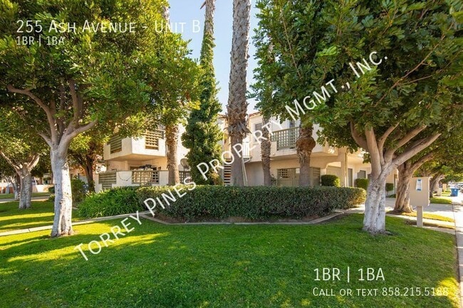 property at 255 Ash Ave