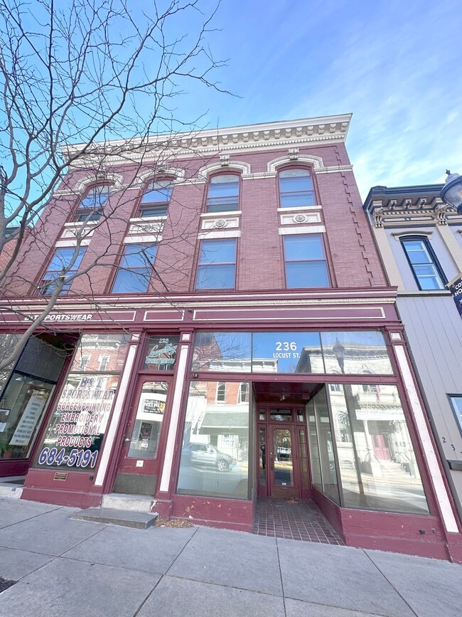 234 Locust St, Unit Apt 1