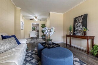 13535 Red Fern Ln in Dallas, TX - Building Photo - Building Photo