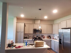 4804 Denys Dr. in Timnath, CO - Building Photo - Building Photo