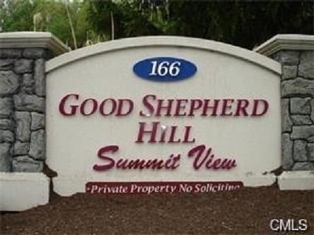 166 Old Brookfield Rd, Unit 17-3