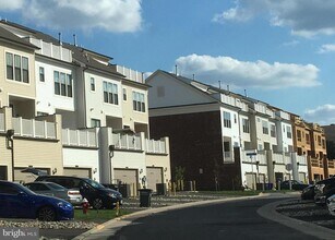 22591 Amendola Terrace in Ashburn, VA - Building Photo - Building Photo