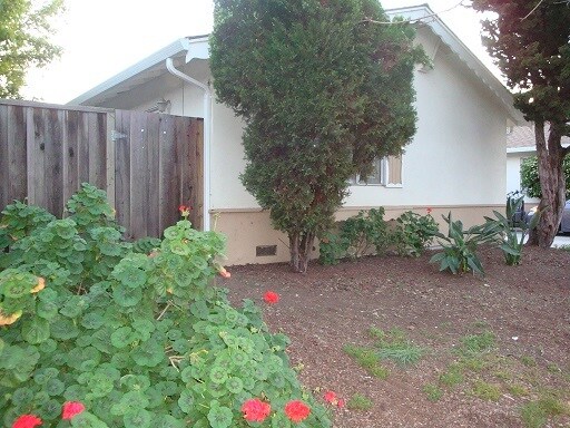 1815 Higdon Ave, Unit 1 in Mountain View, CA - Building Photo - Building Photo