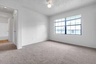 106 Lady Bird Ln in San Marcos, TX - Building Photo - Building Photo