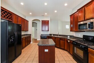 8205 Lagerfeld Dr in Land O Lakes, FL - Building Photo - Building Photo