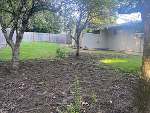 305 Rustic Pl in Eugene, OR - Building Photo - Building Photo