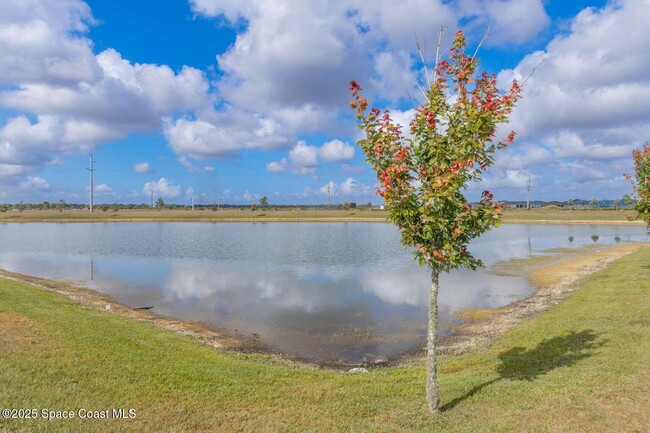 1713 Farmhouse Rd SE in Palm Bay, FL - Building Photo - Building Photo