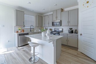 4502 Gallo Matese Ct in Round Rock, TX - Building Photo - Building Photo