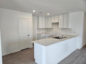 29054 Great Flatland Trl in Hockley, TX - Building Photo - Building Photo