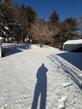 27 Alpine Dr in Burlington, CT - Building Photo - Building Photo