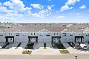 31298 Paper Birch St in Wesley Chapel, FL - Building Photo