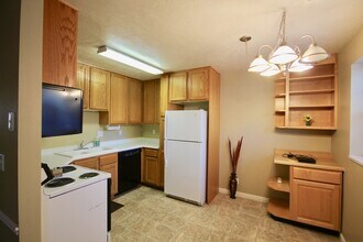 343 W 300 N St in Provo, UT - Building Photo - Building Photo