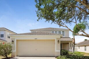 10721 Shady Preserve Dr in Riverview, FL - Building Photo